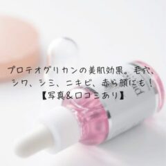 【写真あり】プロテオグリカンの美肌効果。毛穴、シワ、シミ、ニキビ、赤ら顔にも！