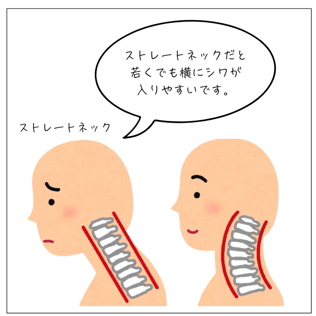 首の横じわはストレートネックも原因