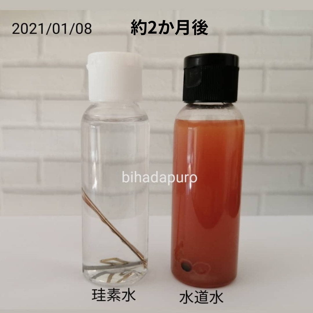 珪素の抗酸化作用実験2か月後