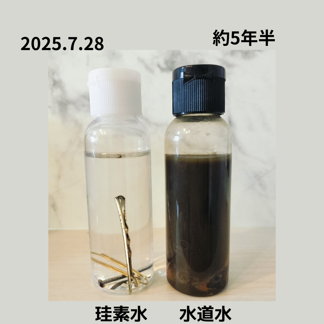 珪素の抗酸化作用実験5年経過