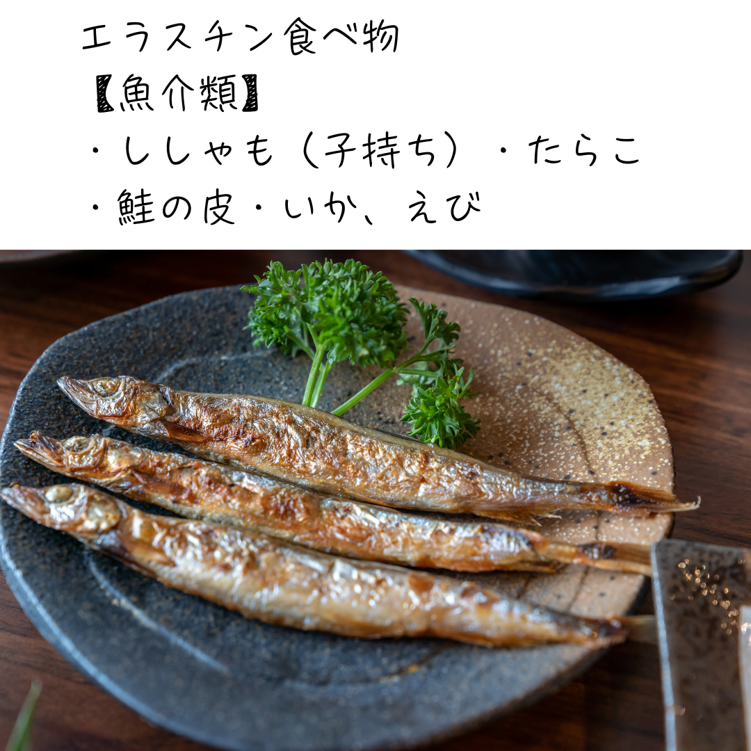 エラスチンが豊富な食べ物：魚介類