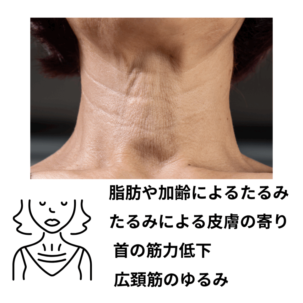 首の縦のしわの原因