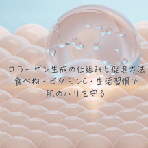 コラーゲン生成の仕組みと促進方法|食べ物・ビタミンC・生活習慣で肌のハリを守る
