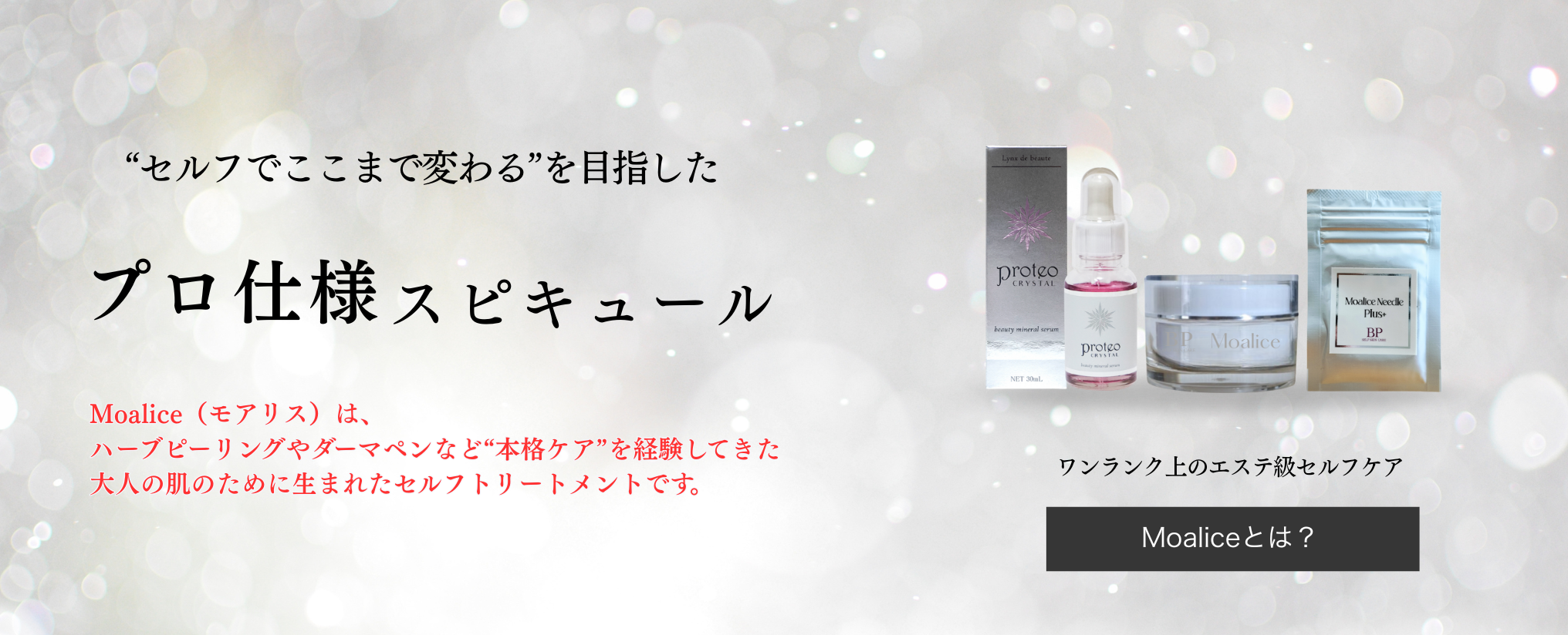 bihadapuro-TOP-SP bihadapuro